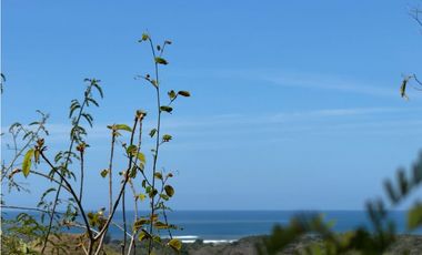 Venta de Finca 17.75 Hectareas en Playa Santa Catalina Panama