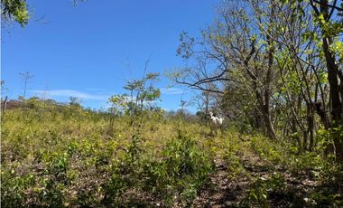 Venta de Finca 17.75 Hectareas en Playa Santa Catalina Panama