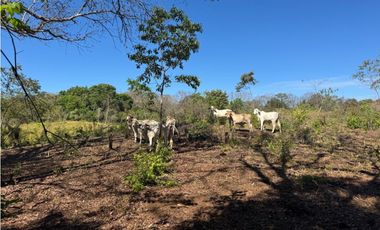 Venta de Finca 17.75 Hectareas en Playa Santa Catalina Panama