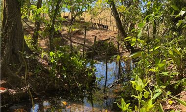 Venta de Finca 17.75 Hectareas en Playa Santa Catalina Panama