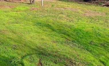 Parcela en Venta en Sector La Sexta - Longaví