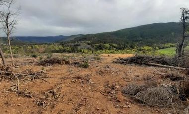 Parcela en Venta en Km. 17,5 Ruta M-50 - Pelluhue