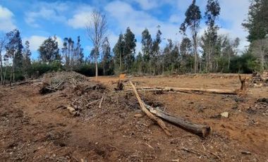 Parcela en Venta en Km. 17,5 Ruta M-50 - Pelluhue