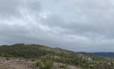 Parcela en Venta en Km. 17,5 Ruta M-50 - Pelluhue