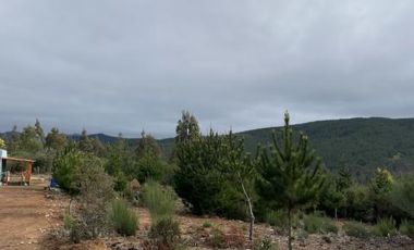 Parcela en Venta en Km. 17,5 Ruta M-50 - Pelluhue