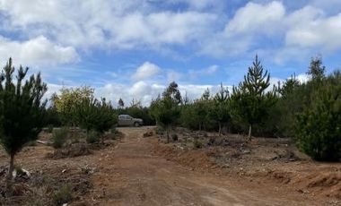Parcela en Venta en Km. 17,5 Ruta M-50 - Pelluhue