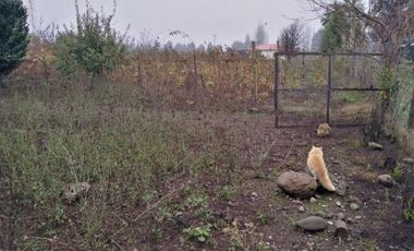 Parcela en Venta en L-55 - La Quinta Longavi