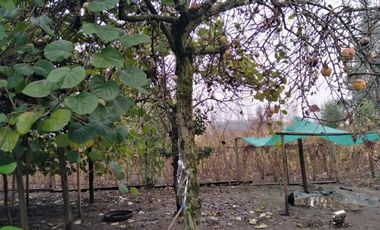 Parcela en Venta en L-55 - La Quinta Longavi