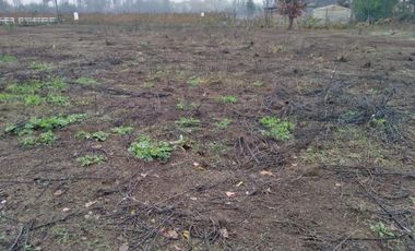 Parcela en Venta en L-55 - La Quinta Longavi