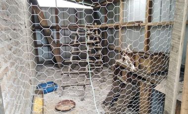 Parcela en Venta en L-55 - La Quinta Longavi