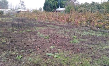 Parcela en Venta en L-55 - La Quinta Longavi