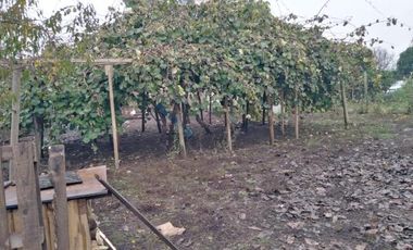 Parcela en Venta en L-55 - La Quinta Longavi