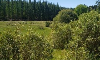 Parcela en Venta en Camino Hotel Villa Baviera - Camino Catillo