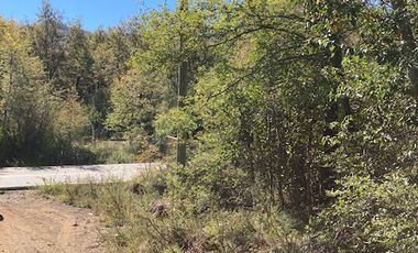 Parcela en Venta en Los Canelos - Los Peumos