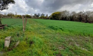 Parcela en Venta en Carretera 5 Norte - Camino a Lilahue