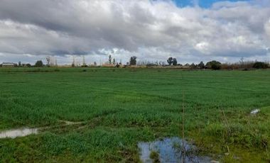 Parcela en Venta en Carretera 5 Norte - Camino a Lilahue