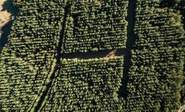 Parcela en Venta en Camino San Ignacio - Camino Pinto