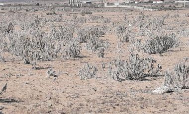 Parcela en Venta en Las Bandurrias - Los Pequeñes