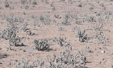 Parcela en Venta en Las Bandurrias - Los Pequeñes