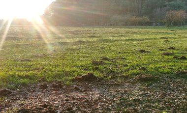 Casa en Venta en Avenida los Sauces - Camino Lilahue