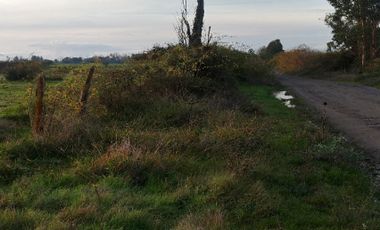Casa en Venta en Avenida los Sauces - Camino Lilahue