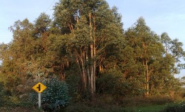 Casa en Venta en Avenida los Sauces - Camino Lilahue