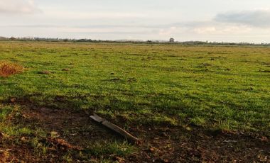 Casa en Venta en Avenida los Sauces - Camino Lilahue