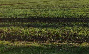 Casa en Venta en Avenida los Sauces - Camino Lilahue