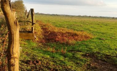 Casa en Venta en Avenida los Sauces - Camino Lilahue