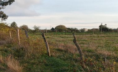 Casa en Venta en Avenida los Sauces - Camino Lilahue