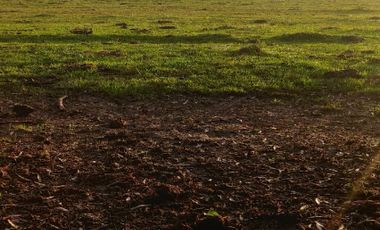 Casa en Venta en Avenida los Sauces - Camino Lilahue