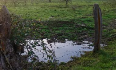 Casa en Venta en Avenida los Sauces - Camino Lilahue