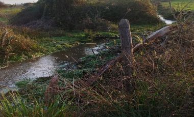 Casa en Venta en Avenida los Sauces - Camino Lilahue