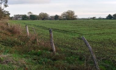 Casa en Venta en Avenida los Sauces - Camino Lilahue