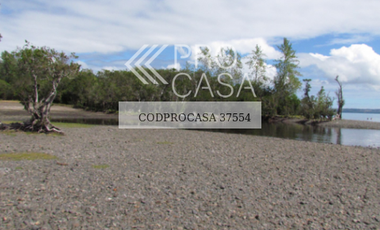 Parcela en Venta en PUYEHUE - RIO BUENO
