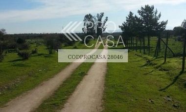 Parcela en Venta en San Manuel - Culipran