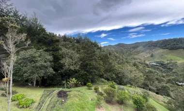 Casa finca en el saladito