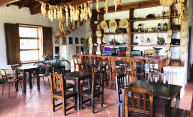 Venta de finca guarne de 178.526 m2 (17.85 h) con 4 matricualas