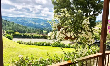 Venta de finca guarne de 178.526 m2 (17.85 h) con 4 matricualas