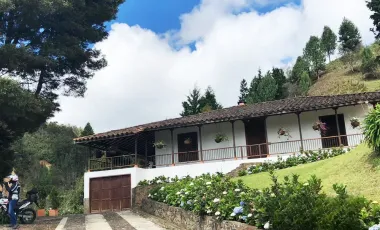 Venta de finca guarne de 178.526 m2 (17.85 h) con 4 matricualas