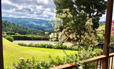 Venta de finca guarne de 178.526 m2 (17.85 h) con 4 matricualas