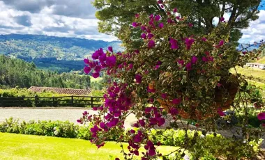 Venta de finca guarne de 178.526 m2 (17.85 h) con 4 matricualas