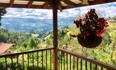 Venta de finca guarne de 178.526 m2 (17.85 h) con 4 matricualas
