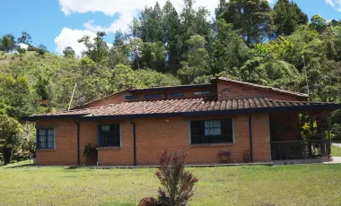 Finca en venta el retiro de 25.000 m2