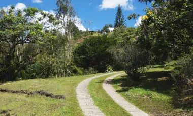 Finca en venta el retiro de 25.000 m2