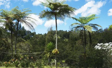Finca en venta el retiro de 25.000 m2