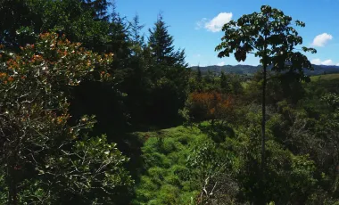Finca en venta el retiro de 25.000 m2