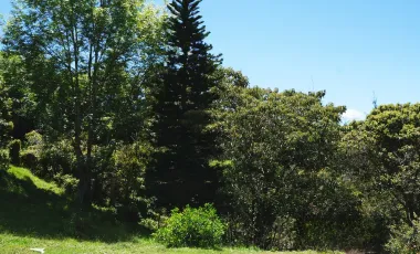 Finca en venta el retiro de 25.000 m2