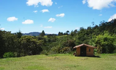 Finca en venta el retiro de 25.000 m2