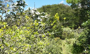 Finca en venta el retiro de 25.000 m2
